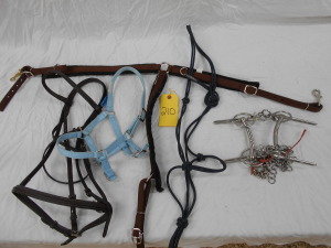 HALTER, BRIDLE, ETC.