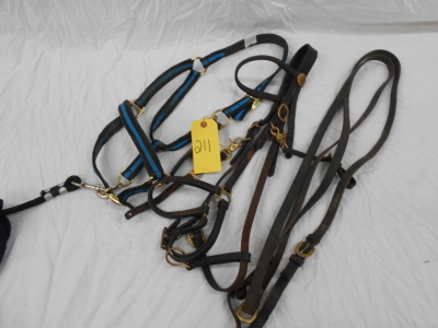 HEADSTALL & HALTER