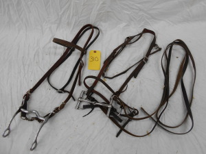 BRIDLE & HEADSTALL