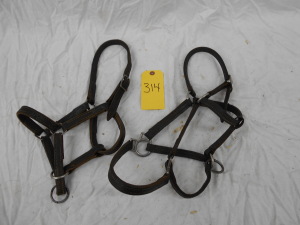 LEATHER HALTERS