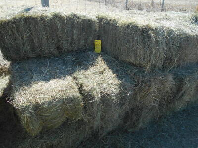 Square bales of grass hay