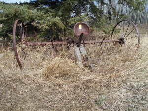 ANTIQUE JUMP RACK