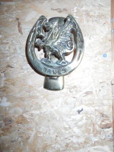 BRASS DOOR KNOCKER