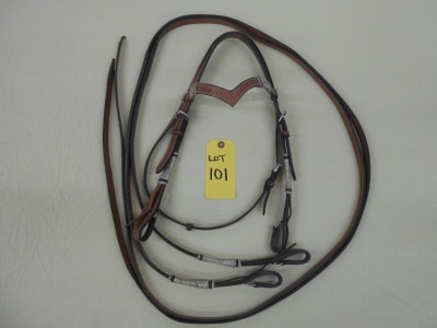 Fancy Headstall with Reins