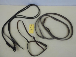 Black Split Reins, Leather Cavesson Noseband, Web Draw Reins