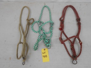 3 Rope Halters