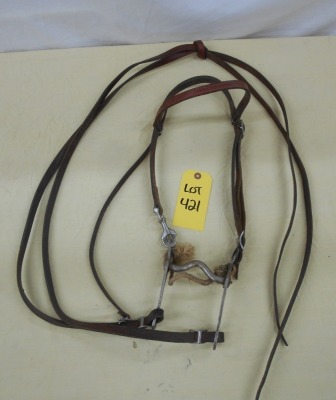 Complete Training Bridle
