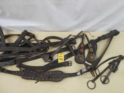 Assorted Tugs & Harness Parts