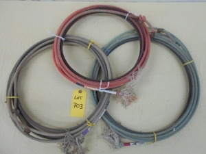 3 Used Ropes