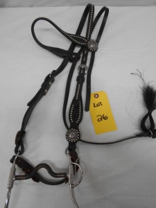 Black With Silver Leather Bridle