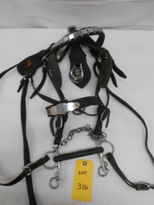 Draft Driving Bridle