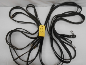 2 Sets of Leather Driving Lines