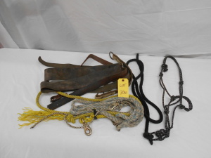 Rope Halter with Lead & Miscellaneous