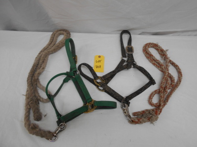 2 Nylon Halters with Leads