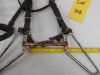 Leather Headstall with Bit - 2