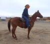 Treasure - Dun QH Mare