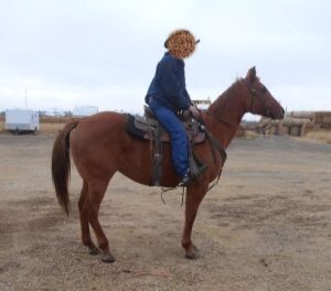 Treasure - Dun QH Mare