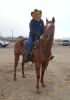 Treasure - Dun QH Mare - 2