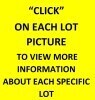 CLICK ON EACH LOT PICTURE