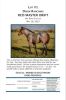 DIXON RANCHING - RCD Master Drift - 2