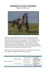 DIXON RANCHING - RCD Master Drift - 4