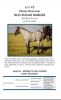 DIXON RANCHING - RDC Sugar Badger - 2