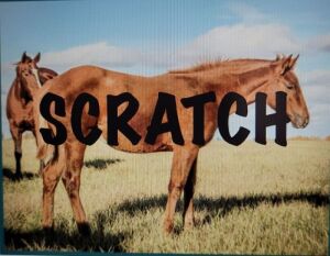 SCRATCHED
