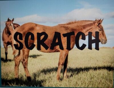 SCRATCHED