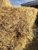 19 Square Hay Bales - 2
