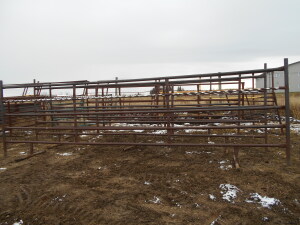 FREE-STANDING CATTLE PANELS - heavy duty