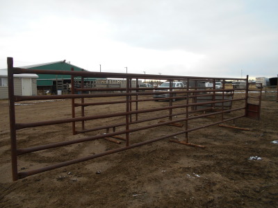 FREE-STANDING CATTLE PANELS - heavy duty