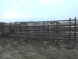 FREE-STANDING CATTLE PANELS - heavy duty