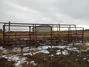 FREE-STANDING CATTLE PANELS - heavy duty