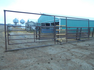 PANELS W/2 X 12' GATES