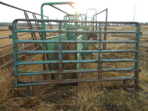 MORAND CATTLE PANELS