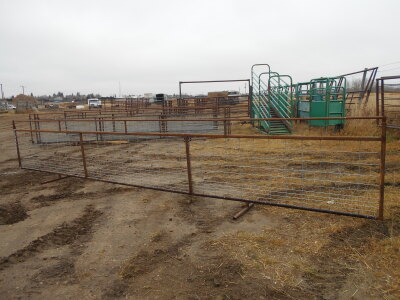 FREE-STANDING SHEEP PANELS