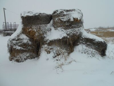 2023 ROUND HAY BALES