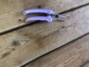 HOOF TRIMMERS