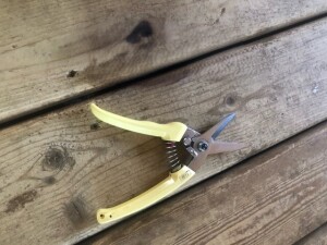 HOOF TRIMMERS