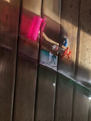 DRENCHER & TUBING BOTTLE