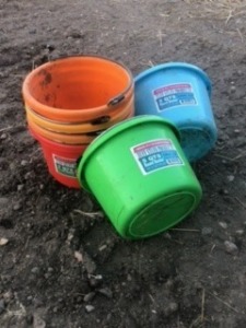 5 QUART PAILS - RED,GREEN, BLUE