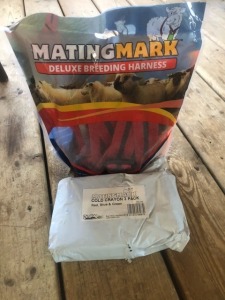 MARKING HARNESS & CRAYONS