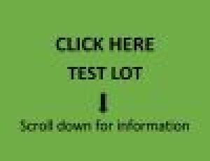 TEST LOT