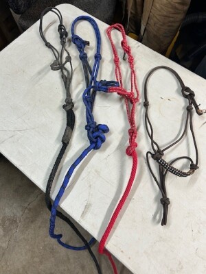 4 ROPE HALTERS - 1 FANCY/3 WITH LEADS
