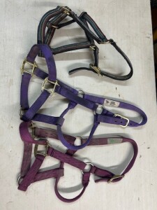 3 NYLON SMALL HORSE HALTERS