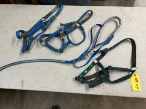 3 NYLON SMALL HORSE HALTERS & 1 CAVESON