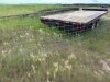 16' SHEEP/GOAT/HOG PANEL